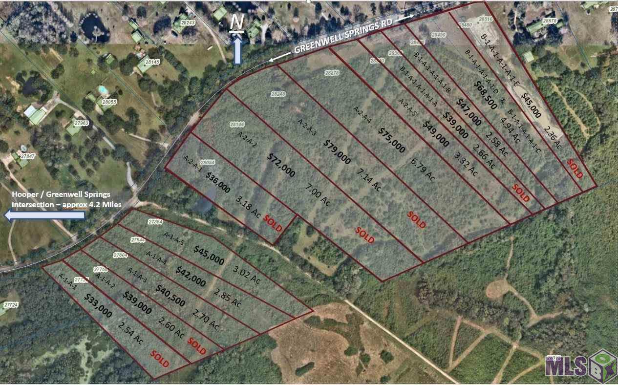 Lot B Greenwell Springs Rd - Photo 1