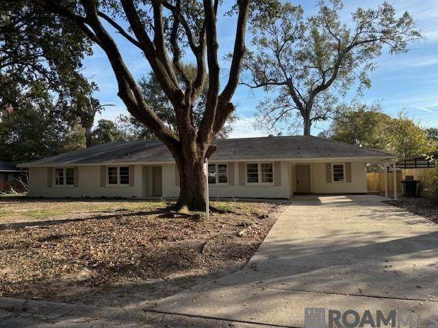 437 Cora Dr - Photo 1