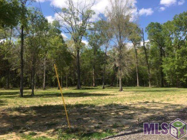 10110 Mauriel Ln - Photo 1