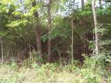 Lot 34 Dogwood Drive - Photo 17