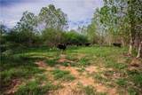 2401 Brazos River Lane - Photo 26