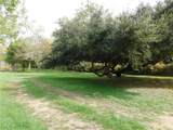 TBD Palasota Drive - Photo 2