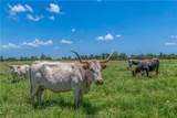 798 Lcr 703 (+/-163 Ac.) - Photo 43