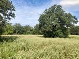 TBD County Road 120 - Photo 10