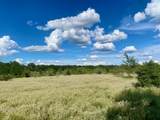 TBD County Road 120 - Photo 12