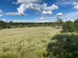 TBD County Road 120 - Photo 13