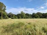 TBD County Road 120 - Photo 3
