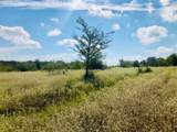 TBD County Road 120 - Photo 6