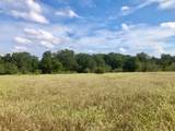 TBD County Road 120 - Photo 7