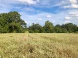 TBD County Road 120 - Photo 8