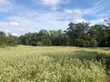TBD County Road 120 - Photo 9