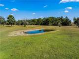 7781 County Road 227 - Photo 41