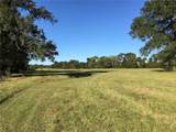 TBD Scarborough Drive - Photo 9