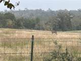 4732 West Us Highway 79 - Photo 43