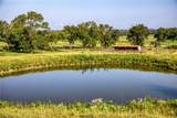 2945 Fm 3090 Road - Photo 36