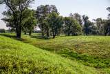 2945 Fm 3090 Road - Photo 38
