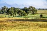 2945 Fm 3090 Road - Photo 4