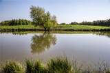 2945 Fm 3090 Road - Photo 40