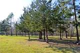 14909 County Road 446 - Photo 49