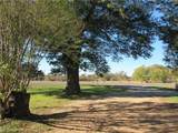 3970 Texas 36 Highway - Photo 6