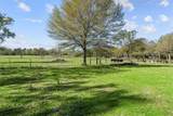 9900 Idaho Lane - Photo 16