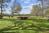 9900 Idaho Lane - Photo 7