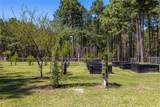 4569 Deep Forest Trail - Photo 38
