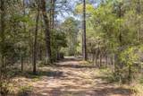 4569 Deep Forest Trail - Photo 47