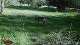 4055 Fm 1696 - Photo 47