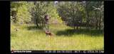 4055 Fm 1696 - Photo 49