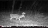 4055 Fm 1696 - Photo 50