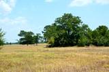 TBD 105 Fm 1227 Road - Photo 15