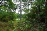 4845 Long Shadows Road - Photo 10
