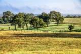 2945 B FM 3090 TX Fm 3090 Road - Photo 4