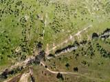 23.2218 Acres Fm 908 - Photo 19