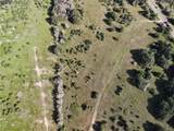 23.2218 Acres Fm 908 - Photo 20