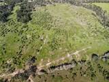 23.2218 Acres Fm 908 - Photo 6