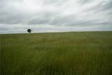 1716 B County Road 469 - Photo 20