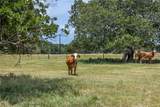 10028 County Road 244 - Photo 7