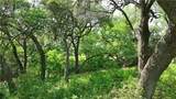 2120 Hohenwalde School Road - Photo 24