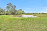 15487 County Road 228 - Photo 17