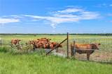 2970 County Road 270 - Photo 44