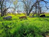 2970 County Road 270 - Photo 45