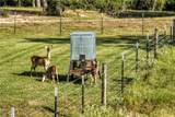 5344 Andert Road - Photo 34