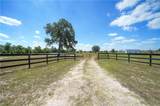33083 Fm 1736 Road - Photo 2
