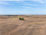 52.27 Acres County Road 301 - Photo 10