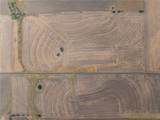52.27 Acres County Road 301 - Photo 25