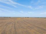 52.27 Acres County Road 301 - Photo 4