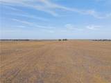 52.27 Acres County Road 301 - Photo 6
