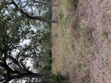 244 Orange - Photo 3